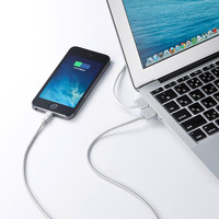 サンワサプライ ライトニングケーブル シルバー 1m ナイロンメッシュ KB-IPLTNM10KSV 1本（直送品）