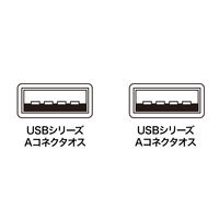 USB Aケーブル　USB-A（オス）USB-A（オス）　3m　KB-USB-A3K2　サンワサプライ　1本