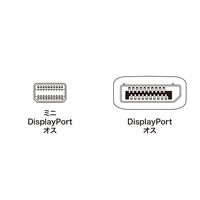 サンワサプライ ミニ-DisplayPort変換ケーブル 1m KC-DPM1W 1本