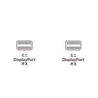 サンワサプライ ミニDisplayPortケーブル 2m KC-DPMM2W 1本