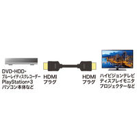 サンワサプライ イーサネット対応ハイスピードHDMIケーブル KM-HD20-20TK2 1本