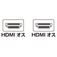 サンワサプライ ハイスピードHDMIケーブル KM-HD20-30FC 1本