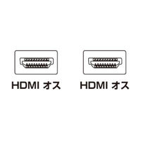 サンワサプライ イーサネット対応ハイスピードHDMI 3Dケーブル KM-HD20-3D10 1本（直送品）