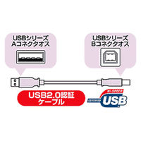 USBケーブル　USB-A（オス）USB-B（オス）　5m　USB2.0　KU20-4HK　サンワサプライ　1本