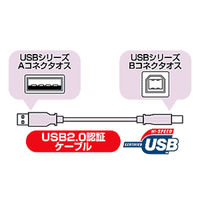 USBケーブル　USB-A（オス）USB-B（オス）　5m　USB2.0　KU20-5BKK　サンワサプライ　1本（直送品）