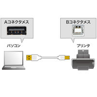 サンワサプライ 極細USBケーブル A-Bタイプ ホワイト 2m USB2.0 KU20-SL20W 1本（直送品）
