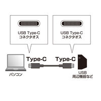 サンワサプライ USB3.1 Gen1 TypeC ケーブル KU30-CCP310 1本