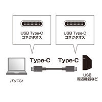 サンワサプライ USB3.1 Gen2 TypeC ケーブル KU31-CCP310 1本
