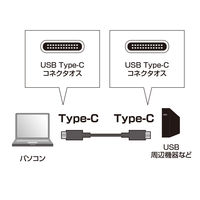 サンワサプライ USB3.1 Gen2 TypeC ケーブル KU31-CCP510 1本