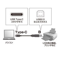 サンワサプライ USB2.0 TypeC - Bケーブル KU-CB30 1本