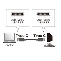 USB Type-Cケーブル　USB-C（オス）USB-C（オス）　1m　PD充電対応（100W）　USB2.0　KU-CCP510　サンワサプライ　1本