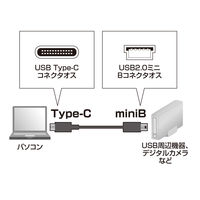 USB Type-Cケーブル　USB-C（オス）MiniB（オス）　2m　USB2.0　KU-CMB20　サンワサプライ　1本