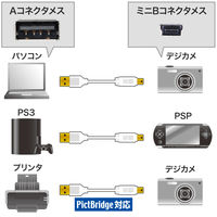 サンワサプライ 極細ミニUSBケーブル ミニBタイプ ホワイト 0.5m USB2.0 KU-SLAMB505W 1本（直送品）