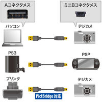 サンワサプライ 極細ミニUSBケーブル ミニBタイプ ブラック 2m USB2.0 KU-SLAMB520BK 1本（直送品）