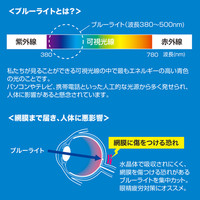 サンワサプライ 10.1型ワイド対応ブルーライトカット液晶保護指紋防止光沢フィルム LCD-101WBC 1枚（直送品）