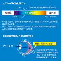 サンワサプライ iPad Air 2用ブルーライトカット液晶保護指紋防止光沢フィル LCD-IPAD6BC 1枚