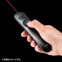 サンワサプライ レーザーポインター MA-WPR12GM 赤色レーザー プレゼン機能 マウス操作 単4乾電池×2 連続使用8時間（直送品）