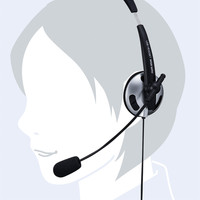 サンワサプライ USBヘッドセット MM-HSUSB13BKN 1個（直送品）