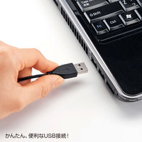 サンワサプライ USBヘッドセット MM-HSUSB17BK 1個（直送品）