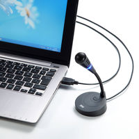 サンワサプライ USBマイクロホン MM-MCU03BK 1個