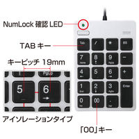 サンワサプライ USBテンキー NT-18USV 1個