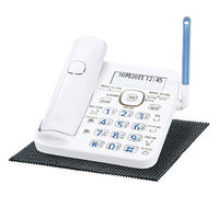 サンワサプライ すべり止めマット(サイズ:200×200mm) PDA-NS2 1枚