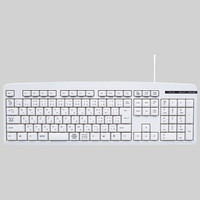 サンワサプライ 日本語109キーボード SKB-109LN 1個（直送品）