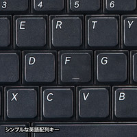 サンワサプライ 英語配列USBスリムキーボード 有線 パンタグラフ ブラック SKB-E2U 1個（直送品）
