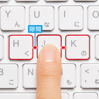 有線キーボード　メンブレン　スタンダード　ホワイト　SKB-SL16W　サンワサプライ　1個（直送品）