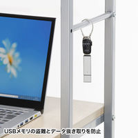 サンワサプライ USBメモリセキュリティ ブラック SL-69 1個