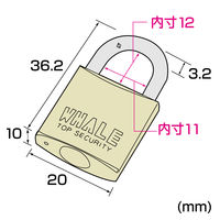 サンワサプライ eセキュリティ（南京錠小No.2） SLE-2L-2 1個（直送品）