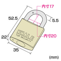 サンワサプライ eセキュリティ（ディンプルキー） SLE-8L 1個（直送品）