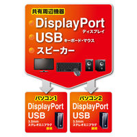 サンワサプライ DisplayPort対応手元スイッチ付きパソコン自動切替器(2:1) SW-KVM2WDPU 1個（直送品）