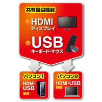 サンワサプライ HDMI対応手元スイッチ付きパソコン自動切替器(2:1) SW-KVM2WHU 1個（直送品）