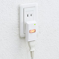 サンワサプライ 雷ガード ホワイト 2P式 1個口 一括集中スイッチ付き TAP-SP204 1個（直送品）