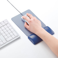 サンワサプライ マウス用リストレスト（レザー調素材、ブルー） W150×D70×H18.5mm TOK-GELPNSBL 1個（直送品）