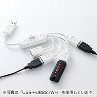 サンワサプライ USBハブ（USB HUB） USB2.0ハブ ブラック 4ポート バスパワー USB-HUB227BK 1個（直送品）