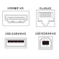 サンワサプライ HDMI+USB2.0エクステンダー VGA-EXHDU 1個