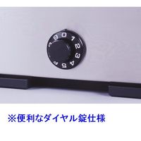 グリーンライフ ステンレス　ポスト（ダイヤル錠） PH-58PD 1台