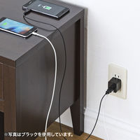 サンワサプライ USB充電器(2ポート・合計2.4A・ホワイト) ACA-IP44W 1個