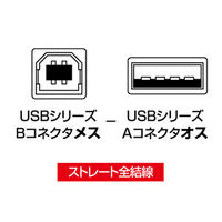 サンワサプライ USB変換アダプタ AD-USB5 1個