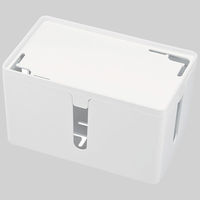 サンワサプライ ケーブル&タップ収納ボックス CB-BOXP1WN2 1個