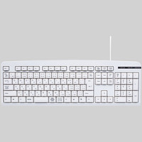 サンワサプライ 日本語109キーボード SKB-109LUN 1個（直送品）