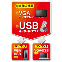 サンワサプライ パソコン切替器(エミュレーション非搭載・手元スイッチ付き) SW-KVM2UUSN 1個