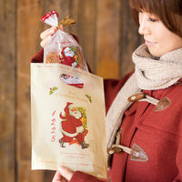 ヘッズ クリスマスアンティ-クサンタPEバック-4 XAQ-4 1セット（500枚：100枚×5パック）（直送品）