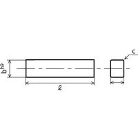 セイキ製作所 両角キー(フリーレングス) FC22052 1セット(2個)（直送品）