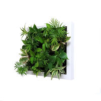 トヨタサントリーミドリエ MIDORIE DESIGN（ミドリエデザイン）観葉植物 グリート ホワイト17A4 1個（直送品）