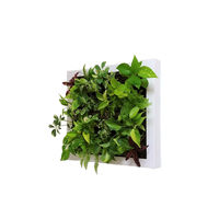 トヨタサントリーミドリエ MIDORIE DESIGN（ミドリエデザイン）観葉植物 グリート ホワイト17B4 1個（直送品）