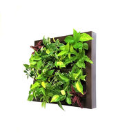 トヨタサントリーミドリエ MIDORIE DESIGN（ミドリエデザイン）観葉植物 グリート ブラウン17B4 1個（直送品）