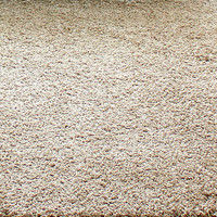 大一商事 Gre-One（グレワン） シャギーラグ レセルバ 1400×2000mm ベージュ 1枚（直送品）